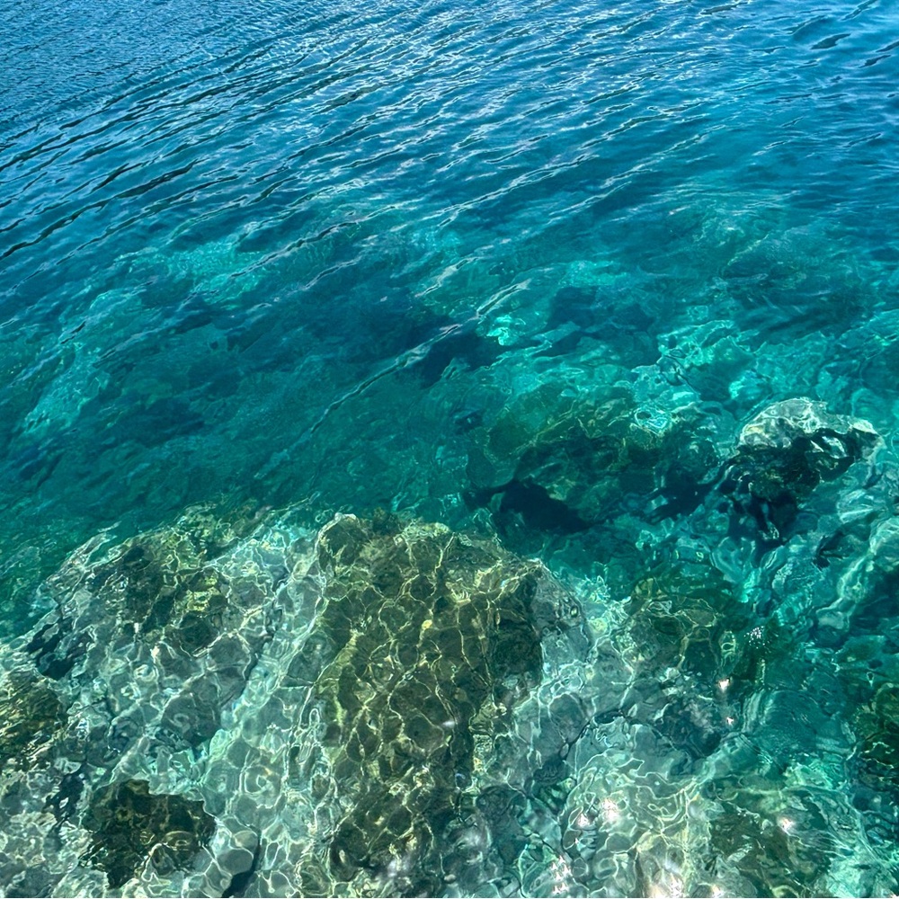 Meet your Posher, Maureen